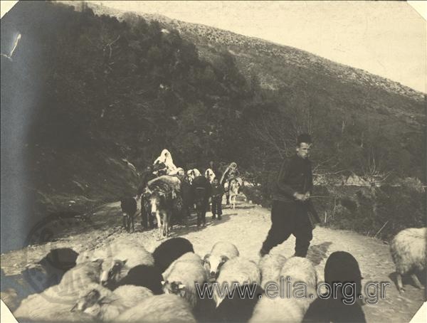 Balkan War I, shepherd  with a flock and a group of peasants with donkeys.