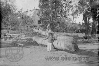 Excursion to the countryside