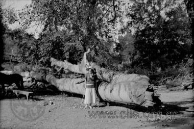 Excursion to the countryside