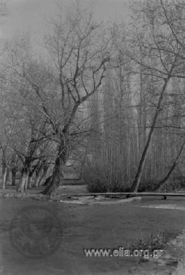 13 Έδεσσα 1925