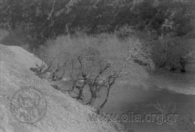 14 Όλυμπος, Τέμπη, Αγ. Παντελεήμων 1926