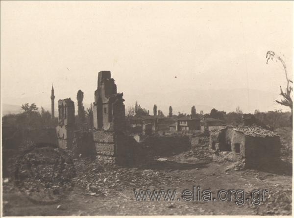 Asia Minor campaign: destroyed Turkish settlement.