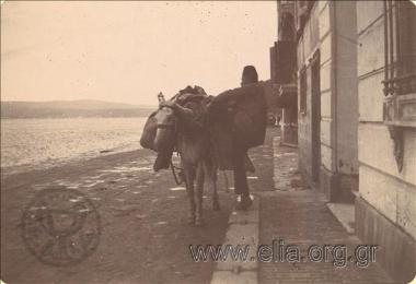 Mule driver