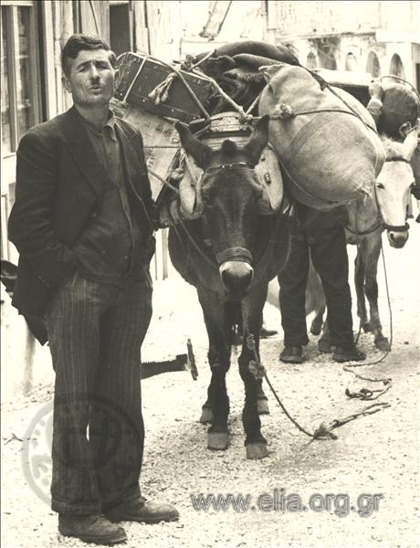 Trader or pack animal driver on a street of town