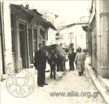 Trader or pack animal driver on a street of town