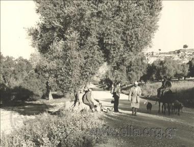 Περιμένοντας το λεωφορείο στον αγροτικό δρόμο.