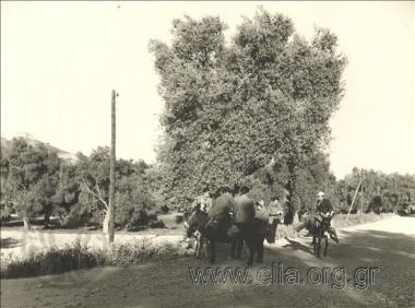 Περιμένοντας το λεωφορείο στον αγροτικό δρόμο.