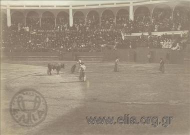Ταυρομαχία.