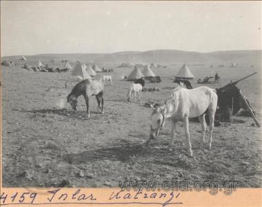 Μικρασιατική εκστρατεία.