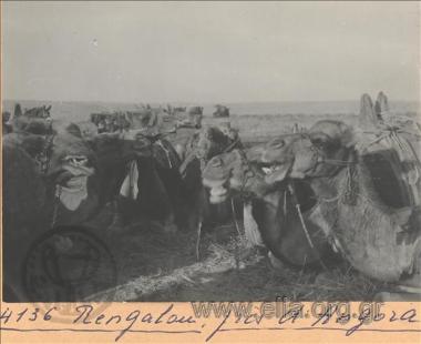 Asia Minor campaign.