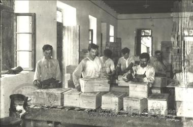 Εργοστάσιο σταφίδας.