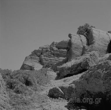 ΒΑΙ ΦΟΙΝΙΚΟΔΑΣΟΣ