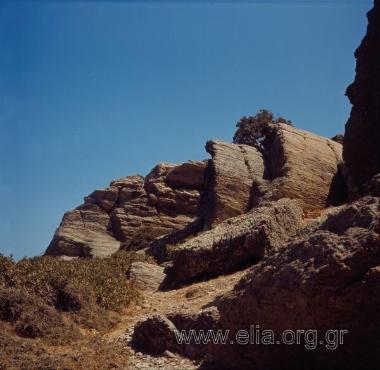 ΒΑΙ ΦΟΙΝΙΚΟΔΑΣΟΣ