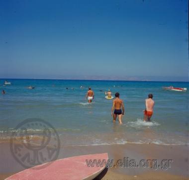 ΒΑΙ ΦΟΙΝΙΚΟΔΑΣΟΣ