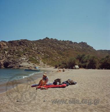 ΒΑΙ ΦΟΙΝΙΚΟΔΑΣΟΣ