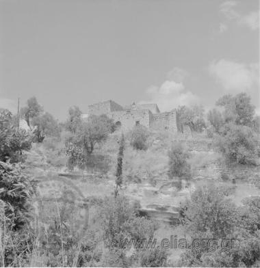 ΜΑΡΓΑΡΙΤΕΣ