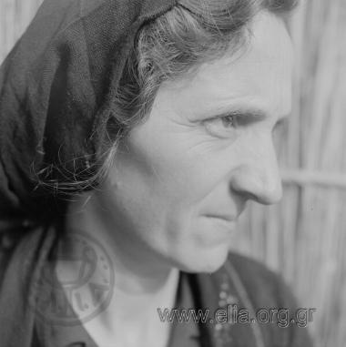 Πορταριά Σαρακατσάνοι