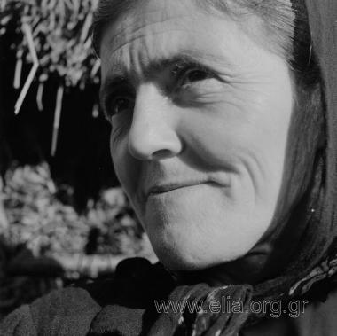 Πορταριά Σαρακατσάνοι