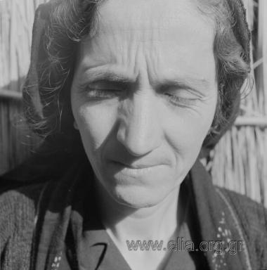 Πορταριά Σαρακατσάνοι