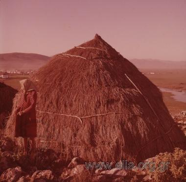 Πορταριά Σαρακατσάνοι