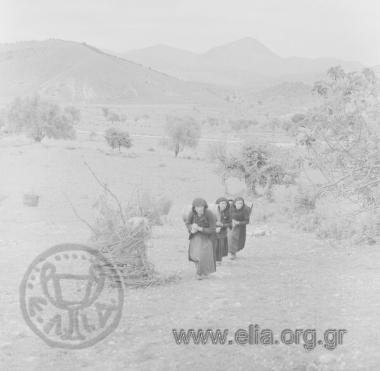 Σαρακατσάνικος γάμος. Κουβάλημα νερού.