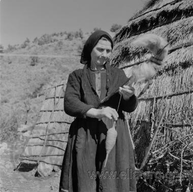Σαρακατσάνα γνέθει.