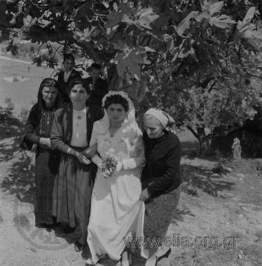 Σαρακατσάνικος γάμος. Άφιξη της νύφης στο κονάκι του γαμπρού. Η νύφη Ελευθερία Γρηγόρη Φερεντίνου συνοδευόμενη από τις αδελφές του γαμπρού.