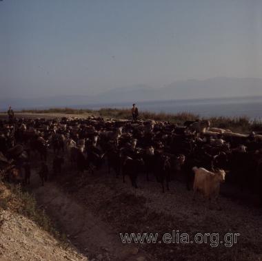 Αγγελόκαστρο