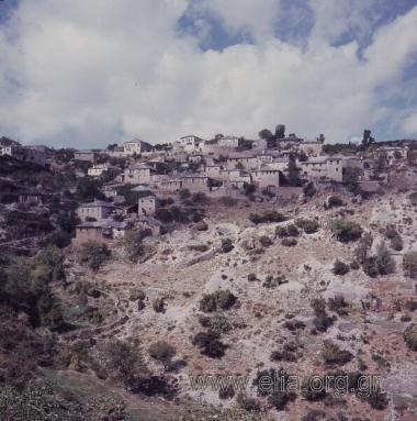 Μονοδένδρι