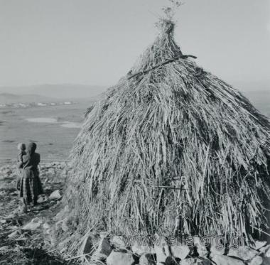 Σαρακατσάνοι.