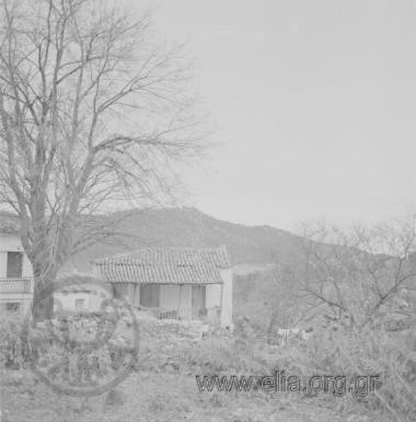 Λίμνη Μπίσια.