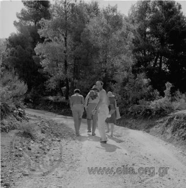 Αλέκος, καλοκαίρι 1966 Κατούνια