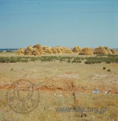 Ουρανούπολη. Ξενία