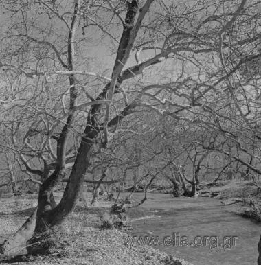 Άχμετ ΆγαΠροκοπίον