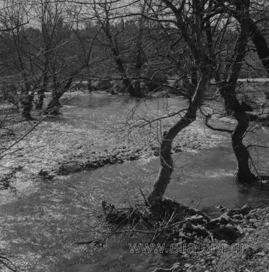 Άχμετ ΆγαΠροκοπίον