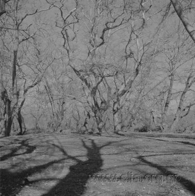 Άχμετ ΆγαΠροκοπίον