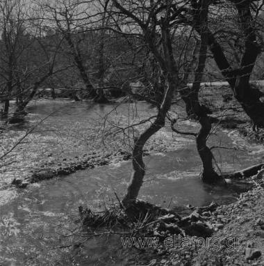 Άχμετ ΆγαΠροκοπίον