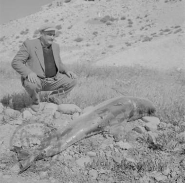 Χρήστος Πατσάλης και μεγάλο ψάρι.