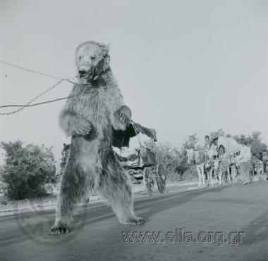 Καραβάνι τσιγγάνων: η αρκούδα του αρκουδιάρη.