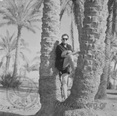 Ταξίδι στο Λούξορ.