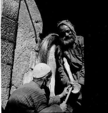 Αμμάν. πεταλωτής.