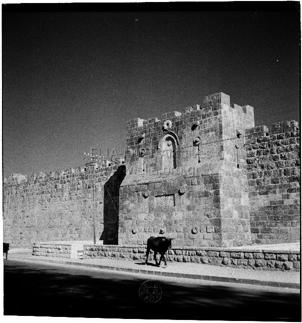 Ιερουσαλήμ, Ιούλιος 1956. Τα τείχη.