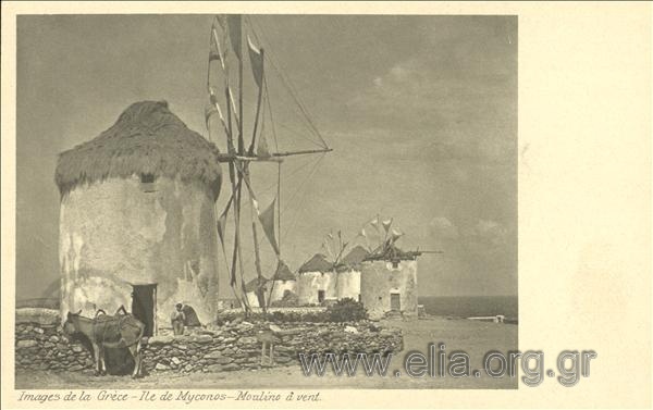 Images de la Grèce - Ile de Myconos - Moulino à vent.
