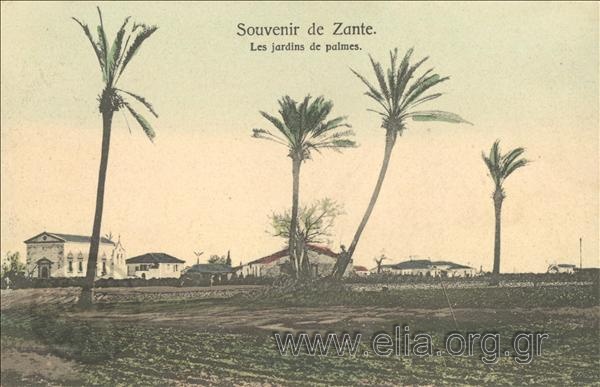 Souvenir de Zante. Les jardins de palme.