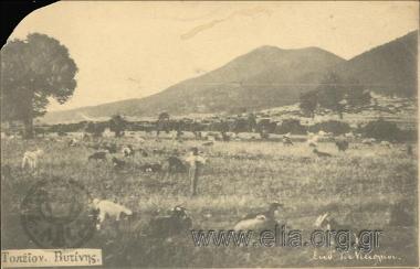 Τοπείον Βυτίνης.