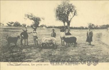Grèce. Amaroussion, Les petits amis.