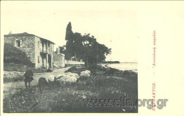 Ναύπακτος. Ανατολική παραλία.