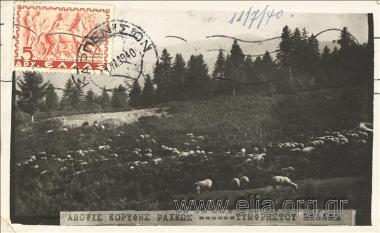 Άποψις κορυφής Ράχεως Τυμφρηστού.