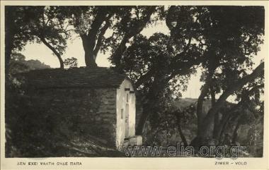 Δεν έχει ψάλτη ουδέ παπά.