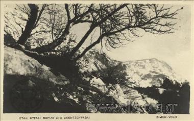 Όταν φυσάει βοριάς στο Σκεντζουράβλι.